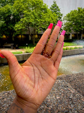 Load image into Gallery viewer, Earth & Energy Ring (Adjustable)