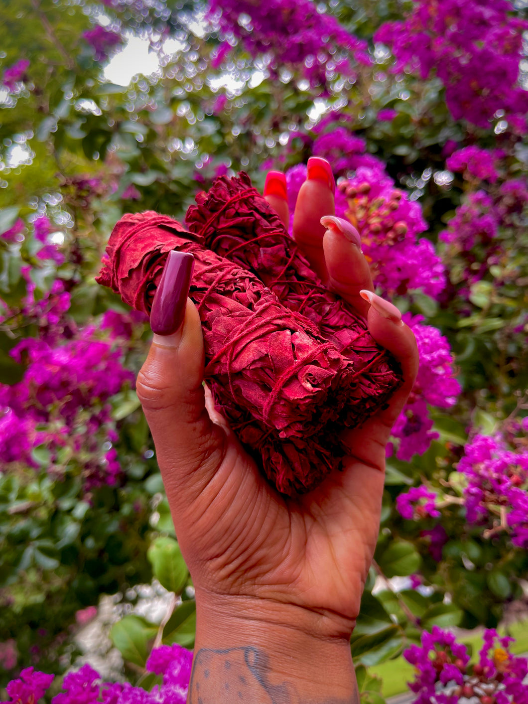 Dragon’s Blood Sage