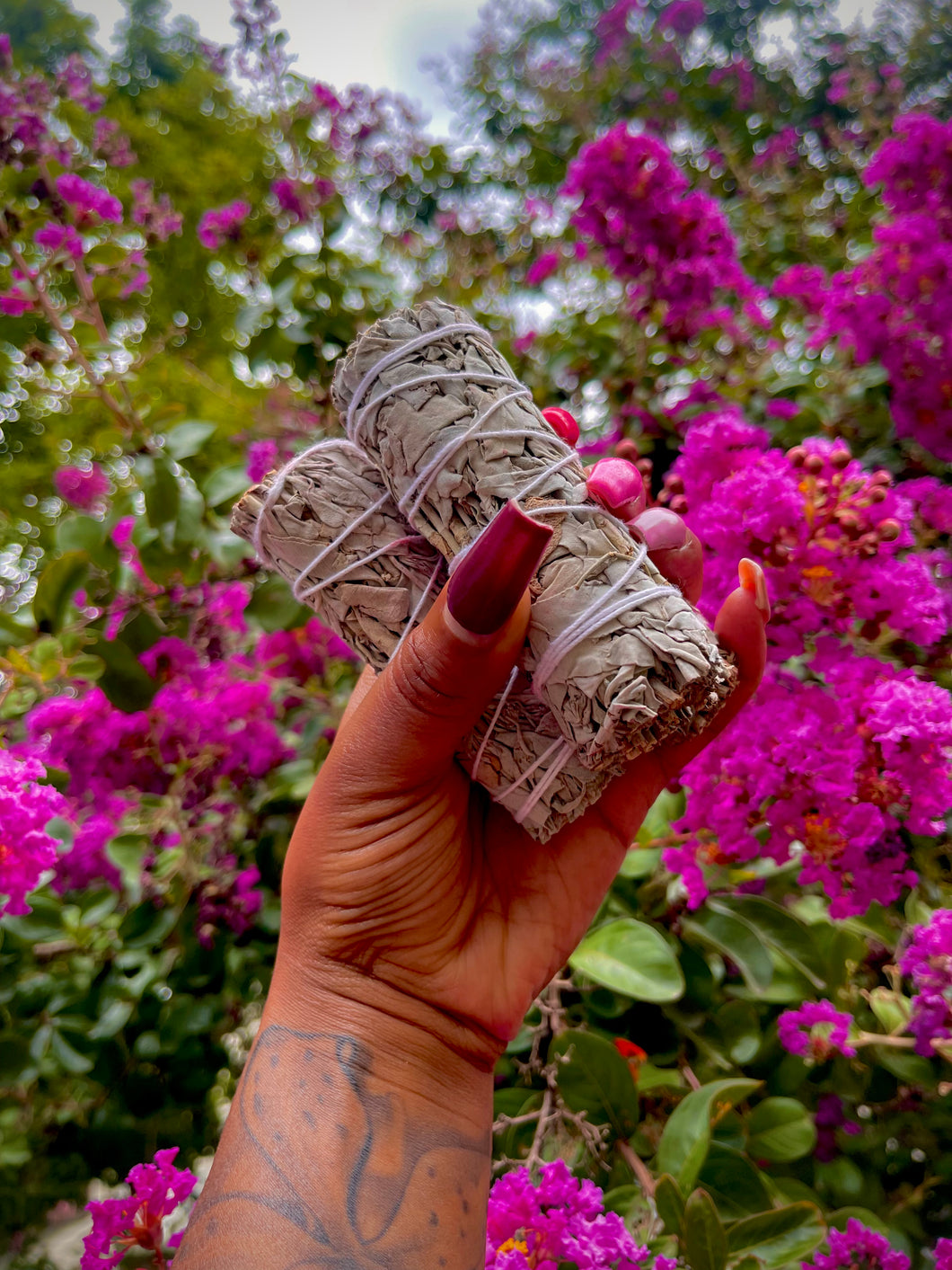 White Sage