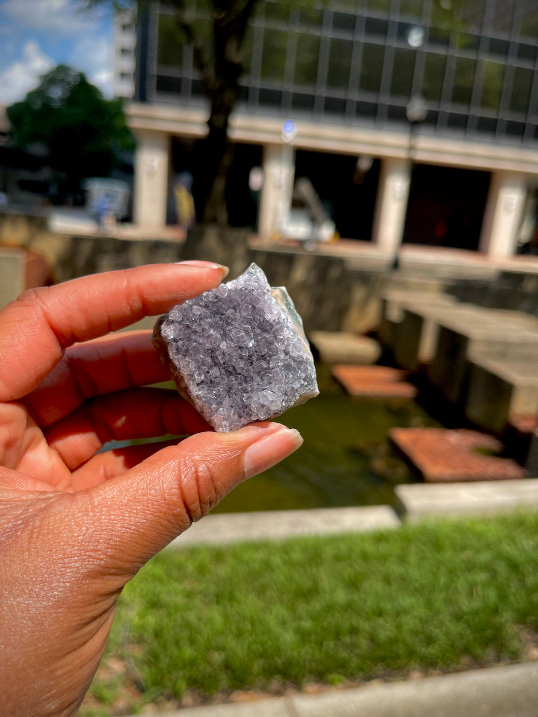 Amethyst Cluster V