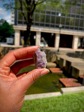 Load and play video in Gallery viewer, Amethyst Cluster IV
